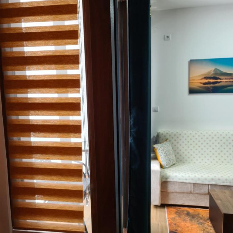 Apartmani Gavric Borovi 2 - One-Bedroom Apartment - 10