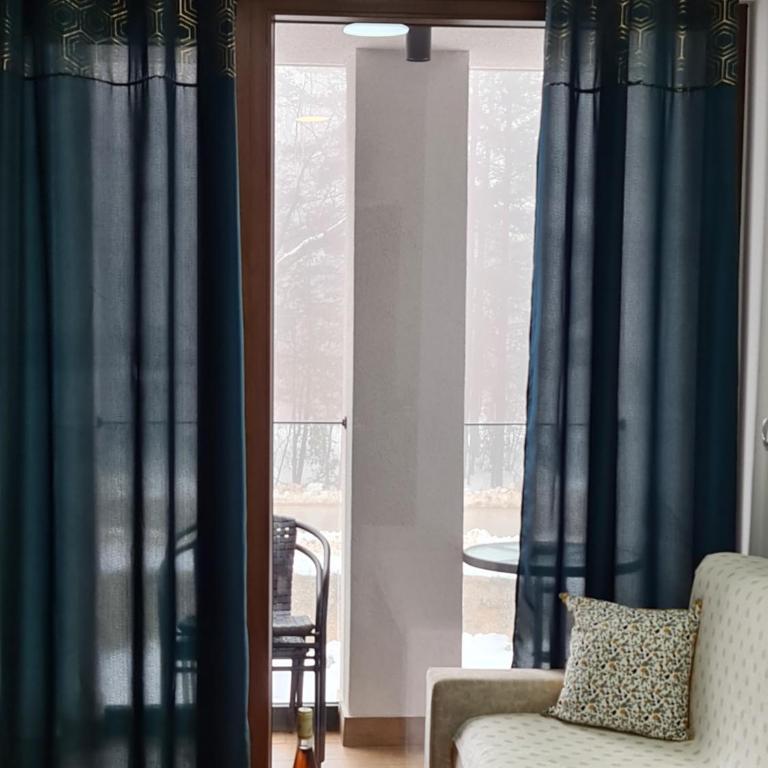 Apartmani Gavric Borovi 2 - One-Bedroom Apartment - 8