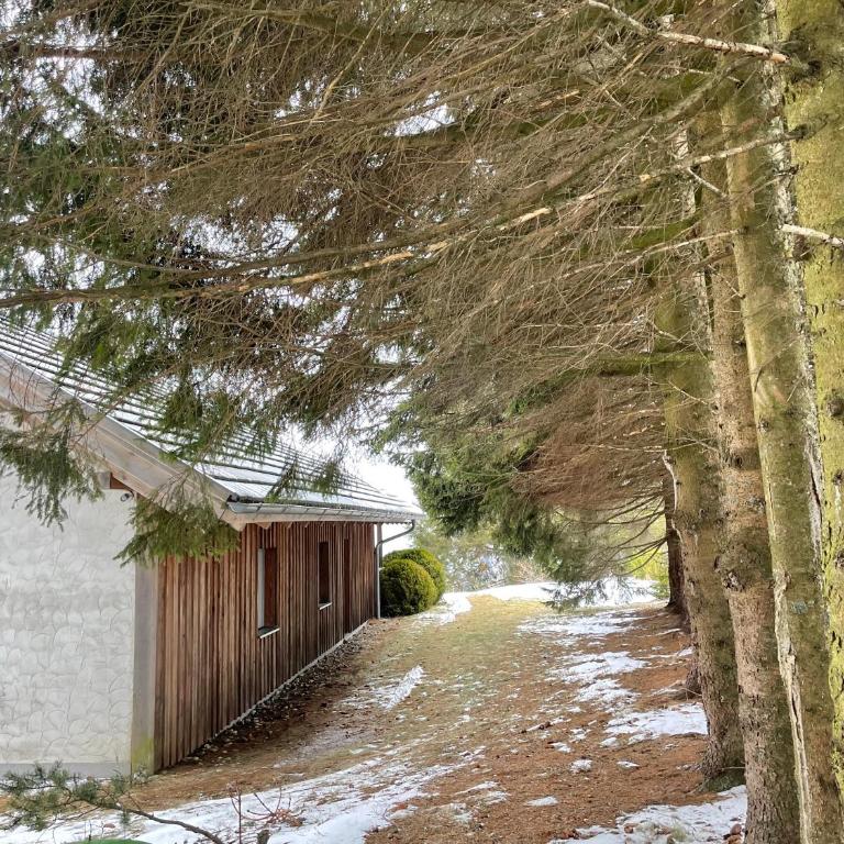 Teichalm Lodge Landhaus - Maison 3 Chambres - 6