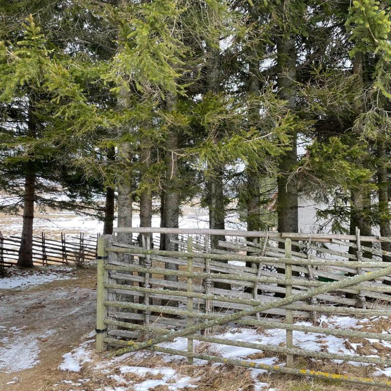 Teichalm Lodge Landhaus - Maison 3 Chambres - 5