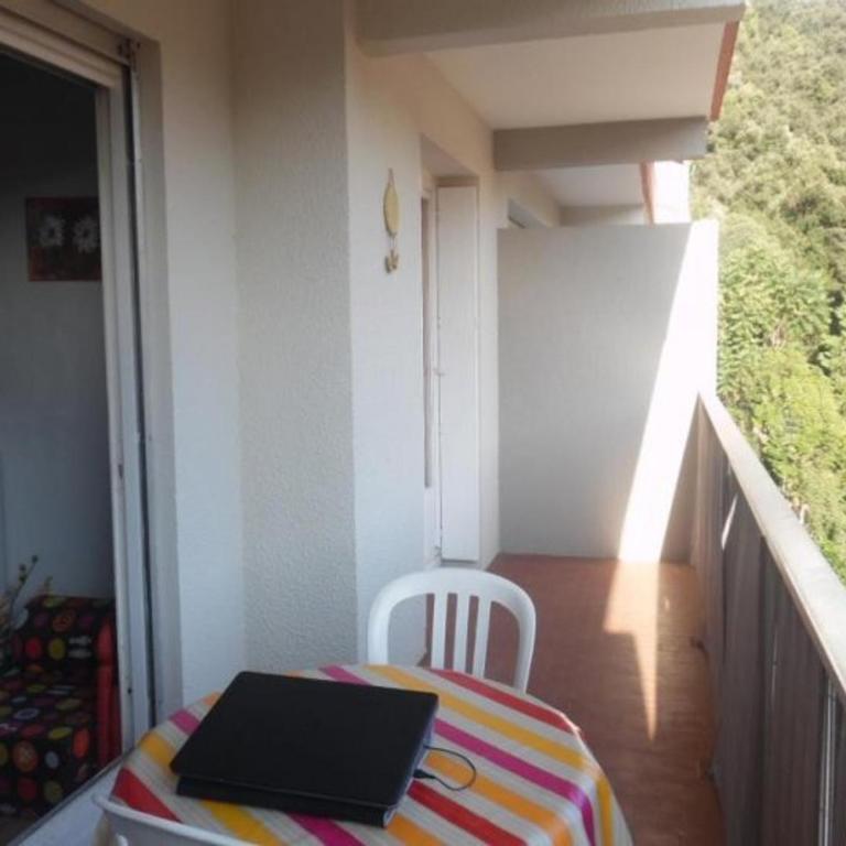 Confortable F2 avec terrasse et parking, proche des cures et du centre-ville d'Amélie-les-Bains - Appartement 1 Chambre - 4
