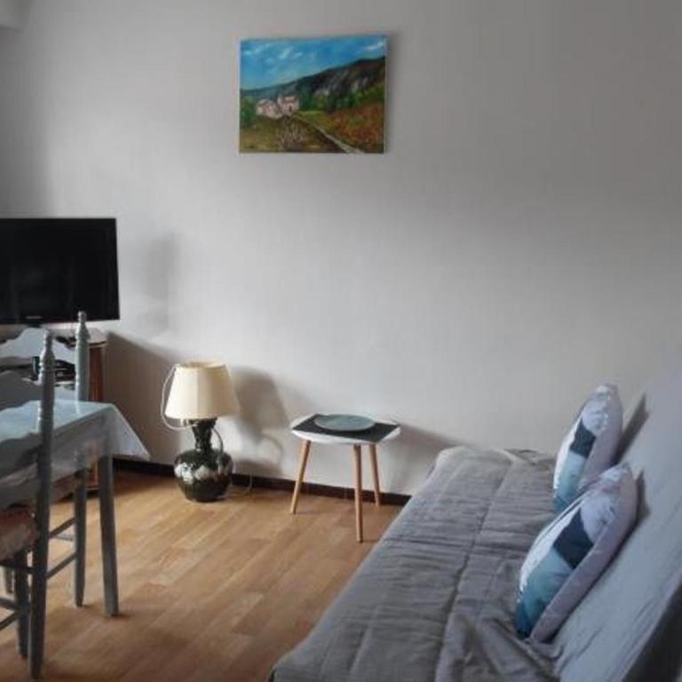 Confortable F2 avec terrasse et parking, proche des cures et du centre-ville d'Amélie-les-Bains - Appartement 1 Chambre - 8