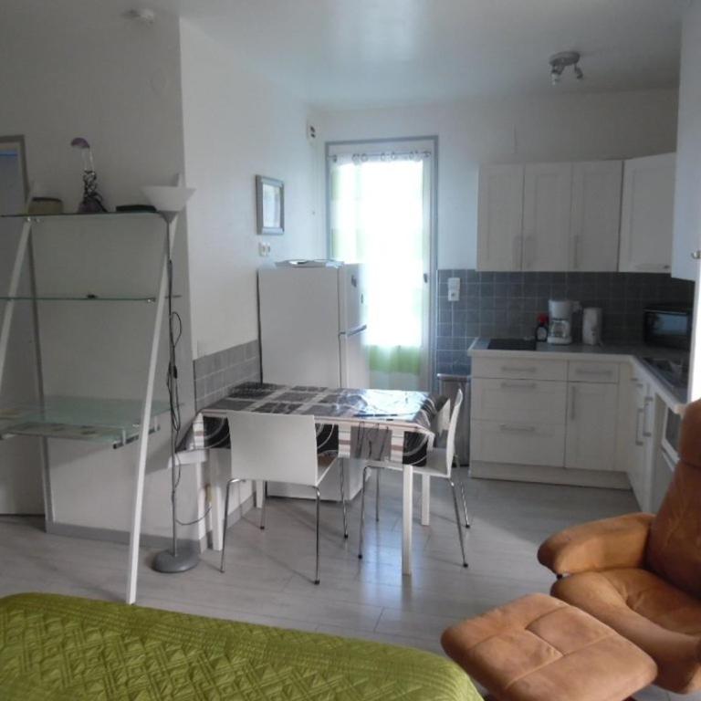 Studio lumineux avec balcon et terrasse, animaux admis, parking sécurisé, proche des thermes - Studio - 3
