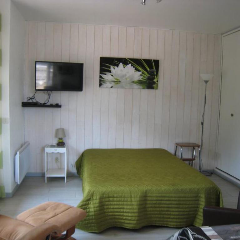 Studio lumineux avec balcon et terrasse, animaux admis, parking sécurisé, proche des thermes - Studio - 6