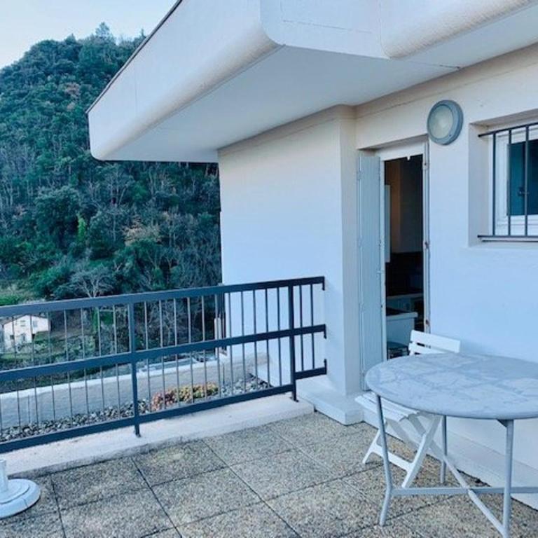 Studio lumineux avec balcon et terrasse, animaux admis, parking sécurisé, proche des thermes - Studio - 8