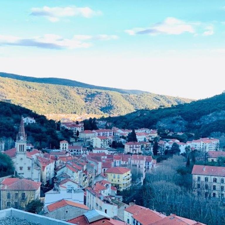 Studio lumineux avec balcon et terrasse, animaux admis, parking sécurisé, proche des thermes - Studio - 10
