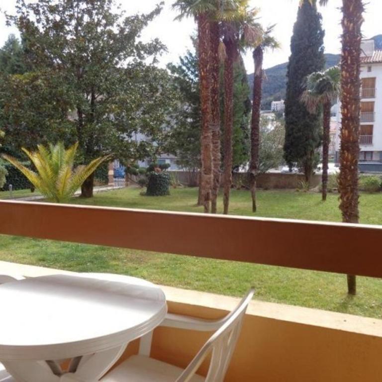 Studio F1 avec balcon, animaux admis, Amélie-les-Bains - Studio - 3