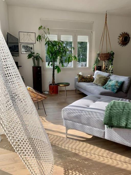 Appartement de charme vue mer - Apartamento de 1 dormitorio - 10