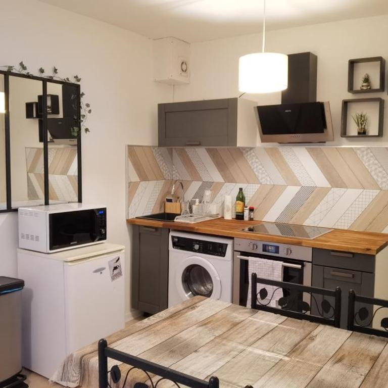 Charmant T2 proche Château, Gare, UCO, Parking privé gratuit - Appartement 1 Chambre - 31