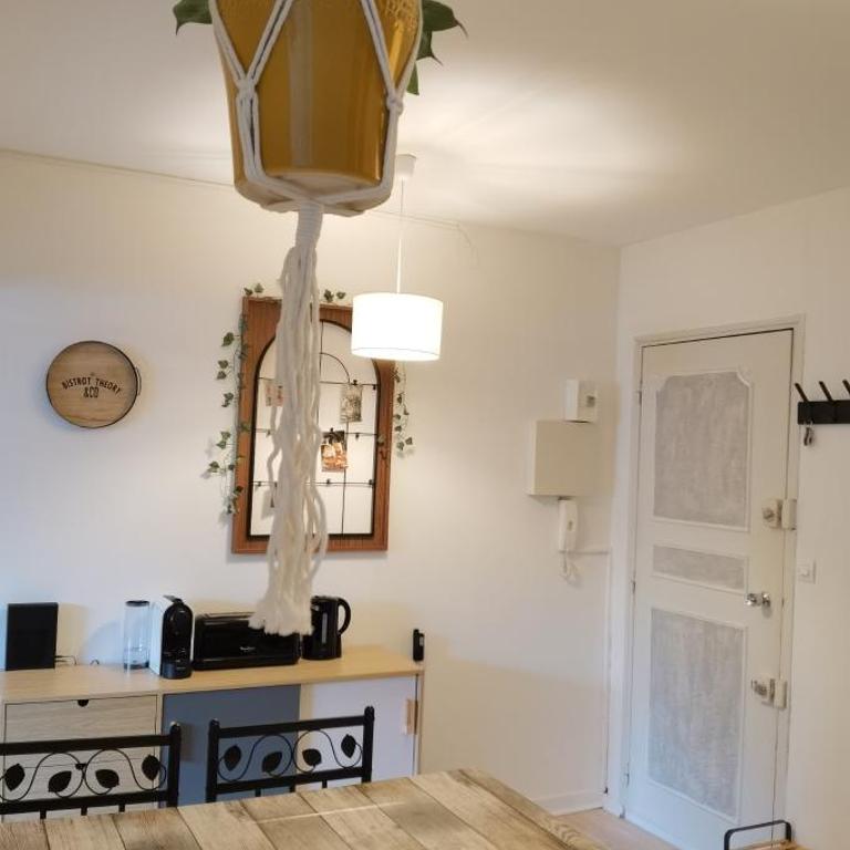 Charmant T2 proche Château, Gare, UCO, Parking privé gratuit - Appartement 1 Chambre - 28