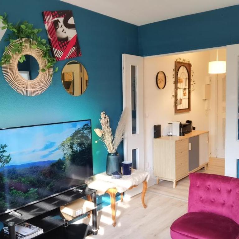 Charmant T2 proche Château, Gare, UCO, Parking privé gratuit - Appartement 1 Chambre - 1