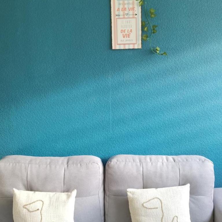 Charmant T2 proche Château, Gare, UCO, Parking privé gratuit - Appartement 1 Chambre - 14