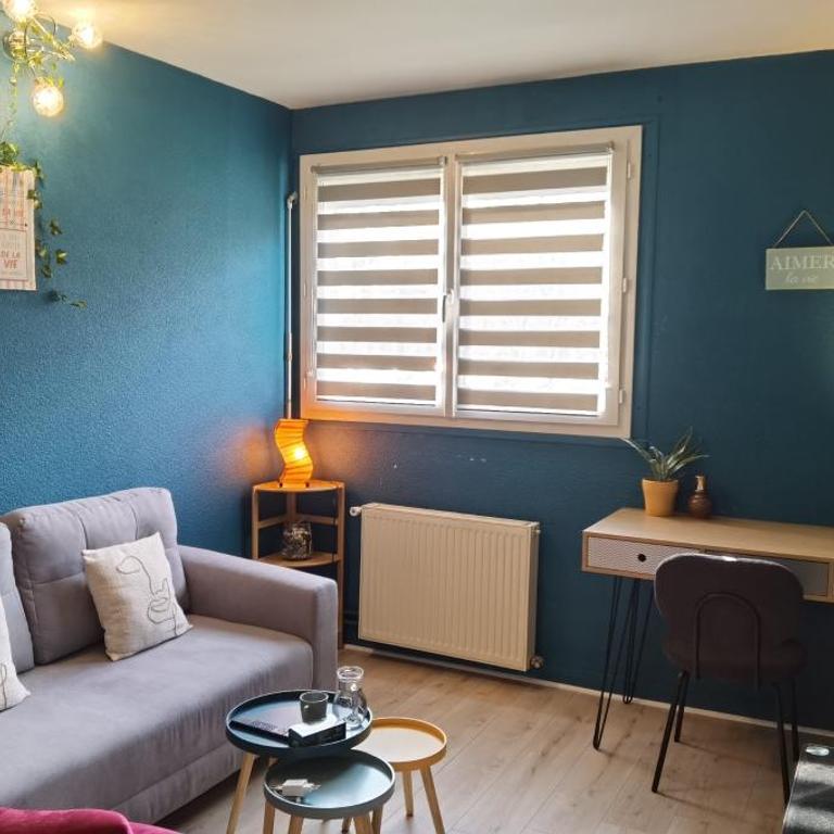 Charmant T2 proche Château, Gare, UCO, Parking privé gratuit - Appartement 1 Chambre - 11