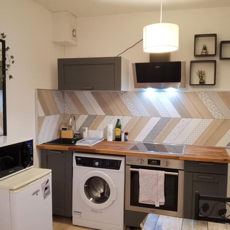 Charmant T2 proche Château, Gare, UCO, Parking privé gratuit - Appartement 1 Chambre - 25