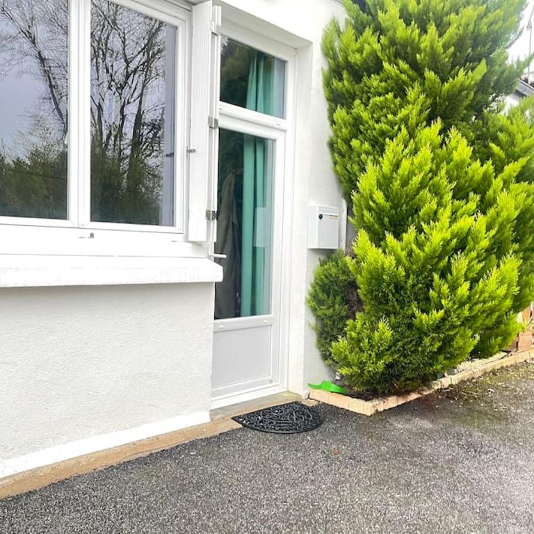 *NEW* MAISONNETTE*Bail Mobilité*CHIC*NANTES - Appartement 1 Chambre - 21