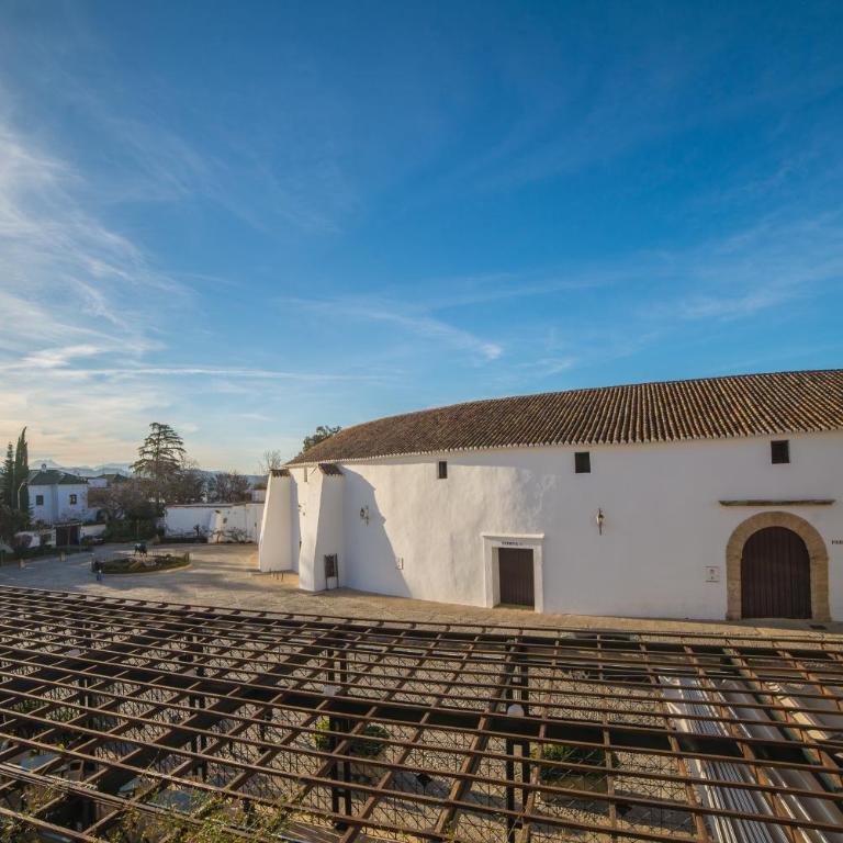 Acinipo - Habitación Doble Estándar - 10