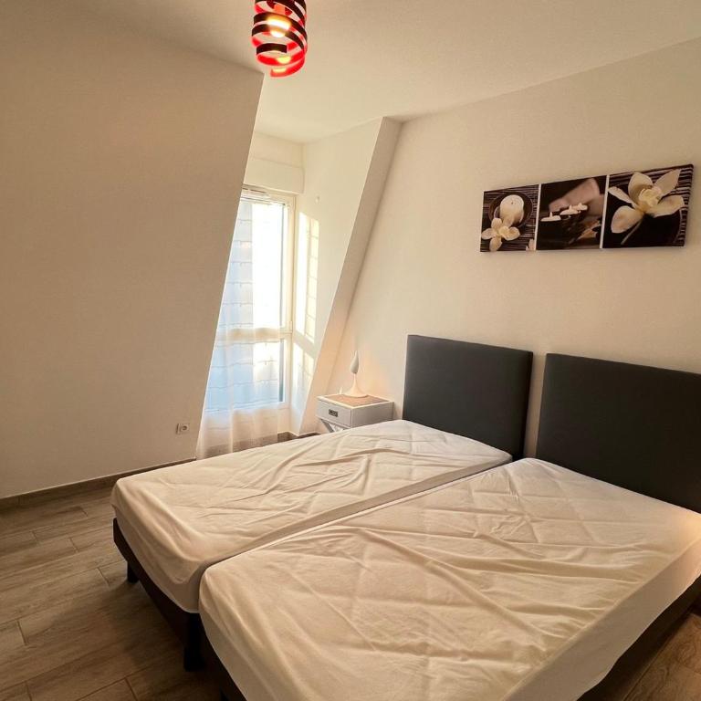Charmant T2 moderne et lumineux avec climatisation et parking à Aix-les-Bains - FR-1-555-85 - Apartamento - 2