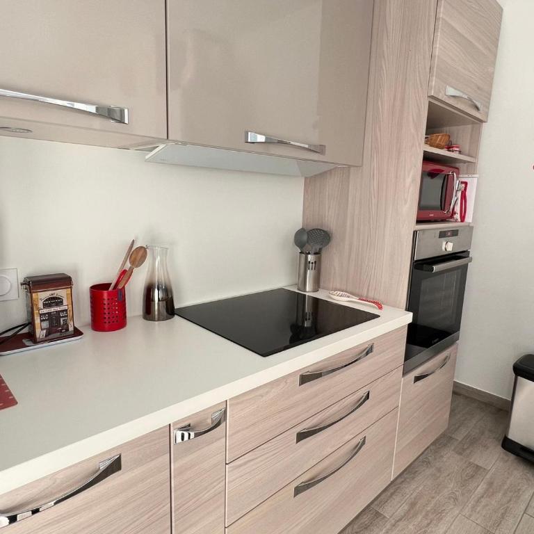 Charmant T2 moderne et lumineux avec climatisation et parking à Aix-les-Bains - FR-1-555-85 - Apartamento - 3
