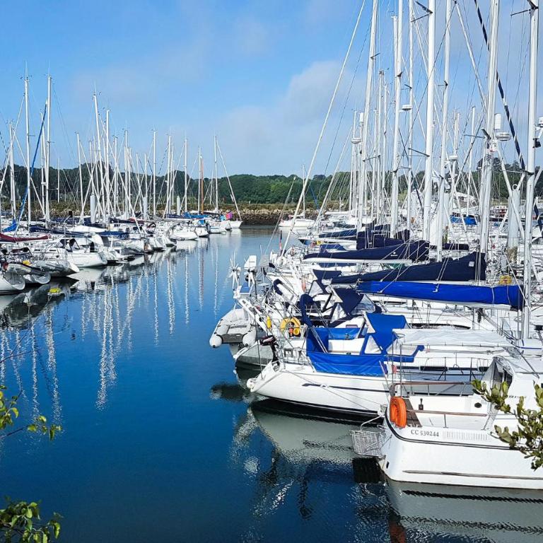 Amazing Apartment In Concarneau With Sauna - Appartement 1 Chambre - 19