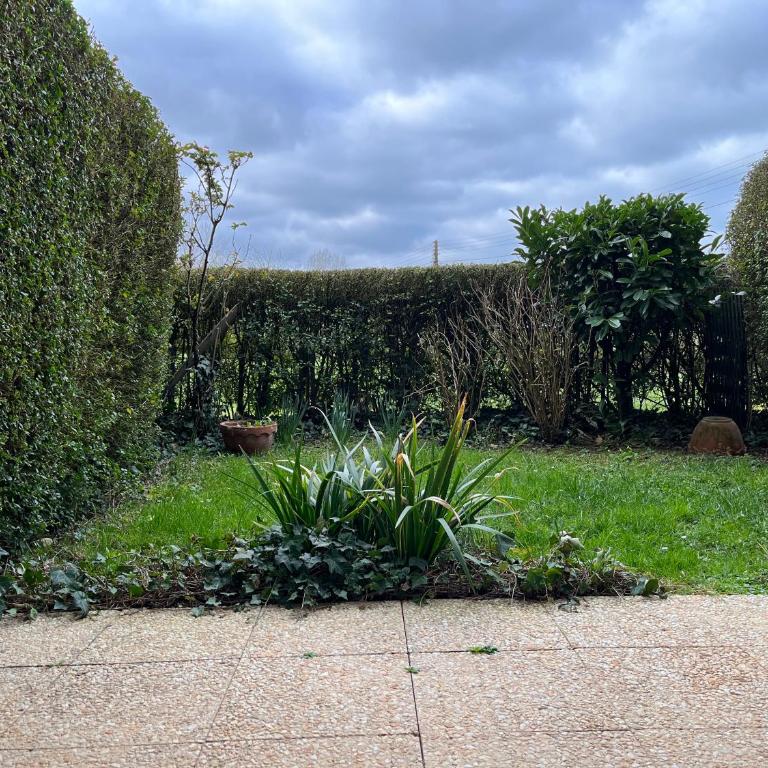 2 pièces en Rez de jardin -"Le Petit Nid" à Trouville - Appartement 1 Chambre - 46