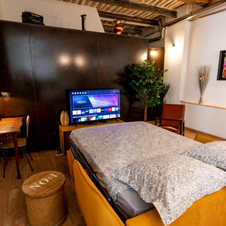 Grasse centre - Loft au bèu mitan 50m2 - Appartement 1 Chambre - 14