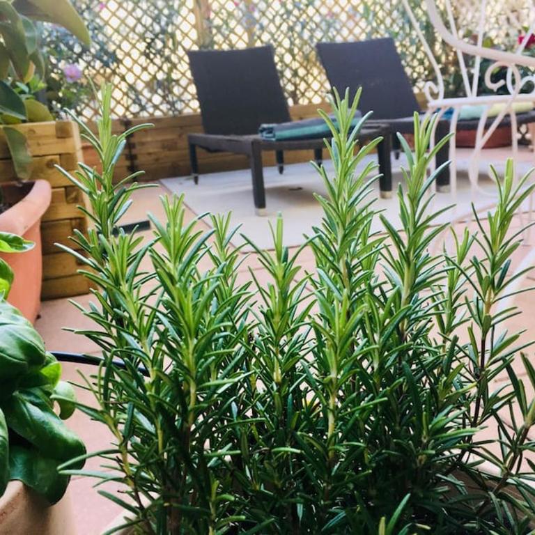 Charming studio mezzanine w/ large terrace - Nice - Appartement 1 Chambre - 3