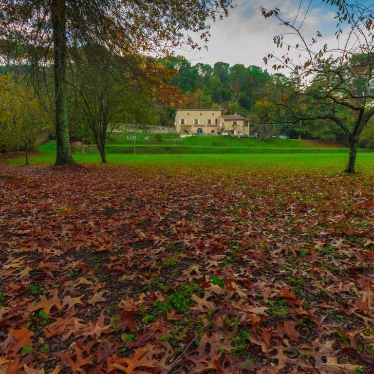 Villa Viola Residenze Seicento - Villa - 10