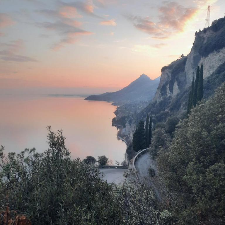 Il limone - One-Bedroom Apartment - 75