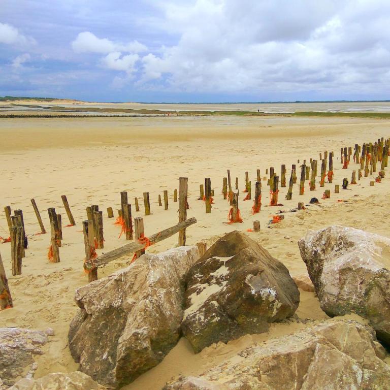 Dans Maison proche des immenses plages de Berck sur Mer a 1,8km des plages - Two-Bedroom Apartment - 19