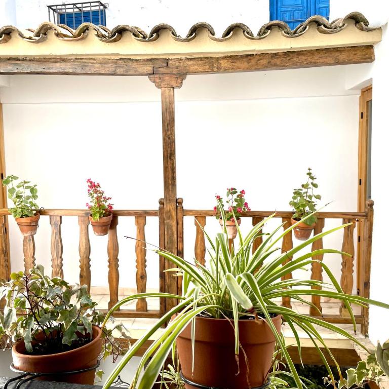 Apartamento en Casa Patio "Pan y Conejo" - Apartamento - Planta baja - 28