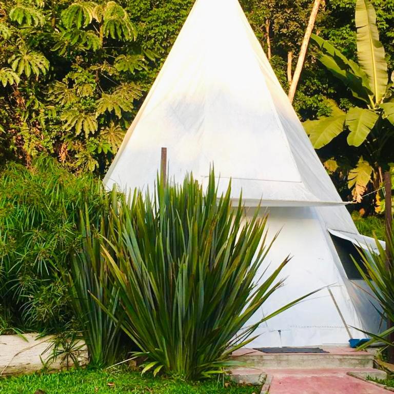 Tribu EcoHostal - Tent - 5