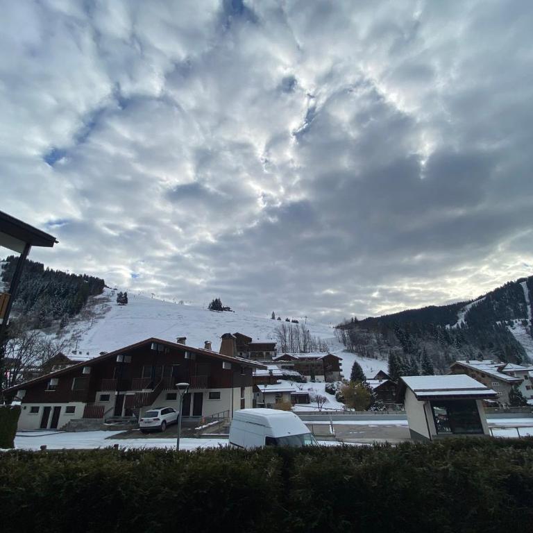 Studio 4 pers, coin montagne, terrasse, parking privatif, centre village, non fumeur - FR-1-437-100 - Studio - 8