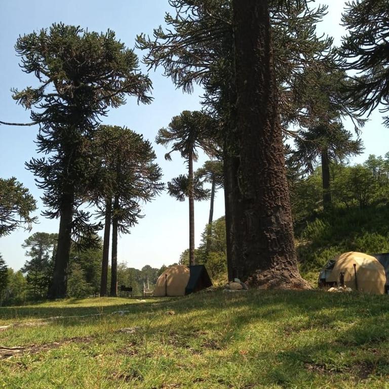 Domos Moquehue - Apartamento de 1 dormitorio con vistas al jardín - 15