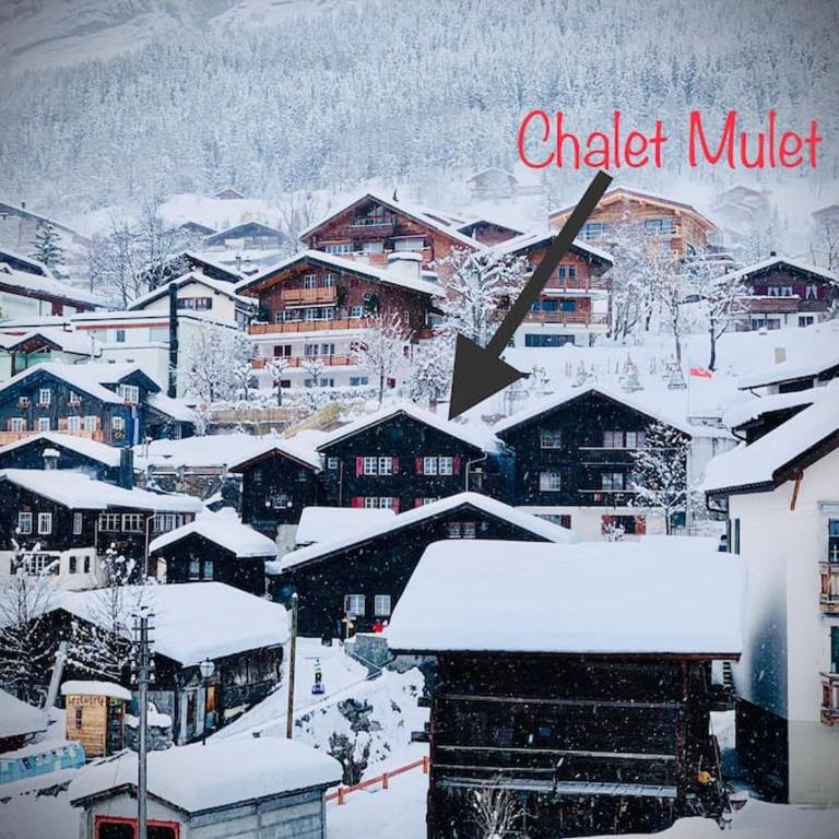 Chalet Mulet - Luxury & Cosy 3 rooms apartment in 300 years old Chalet - Appartement 2 Chambres - 17