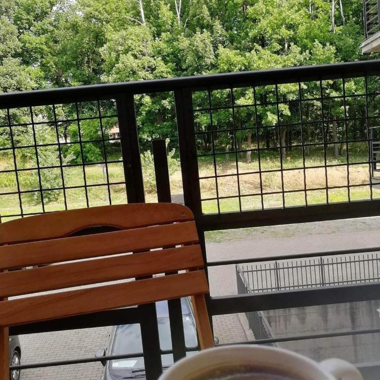 ROSA - Apartman sa Pogledom na Vrt - 15