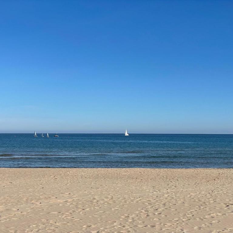 Oliva Seaside Apartments - Apartamento - Planta baja - 22