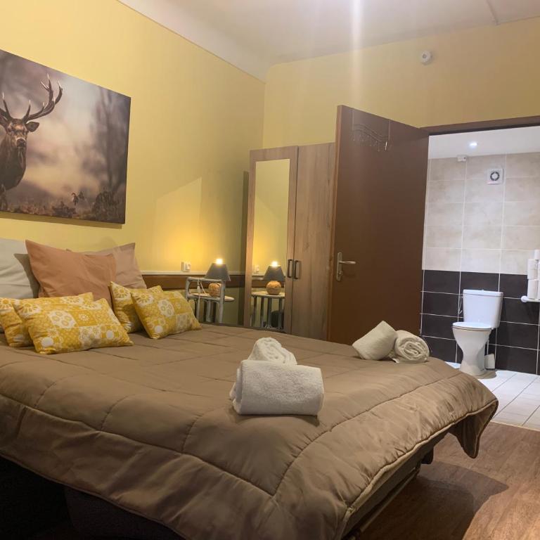 Hôtel Du Cheval Blanc Barcelonnette - Habitación con cama extragrande - Adaptada para personas de movilidad reducida - 2