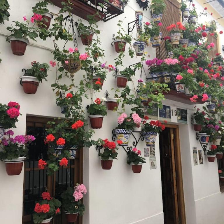 Geysotur Zoco Córdoba - Apartamento de 2 dormitorios - 12