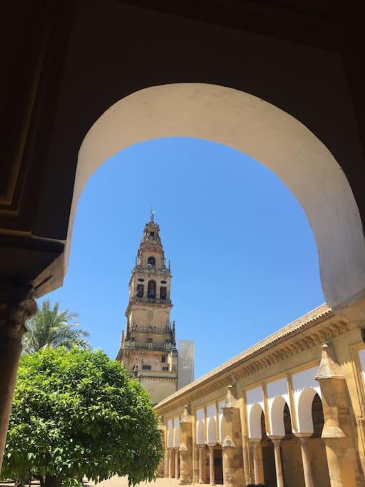 Geysotur Zoco Córdoba - Apartamento de 2 dormitorios - 21