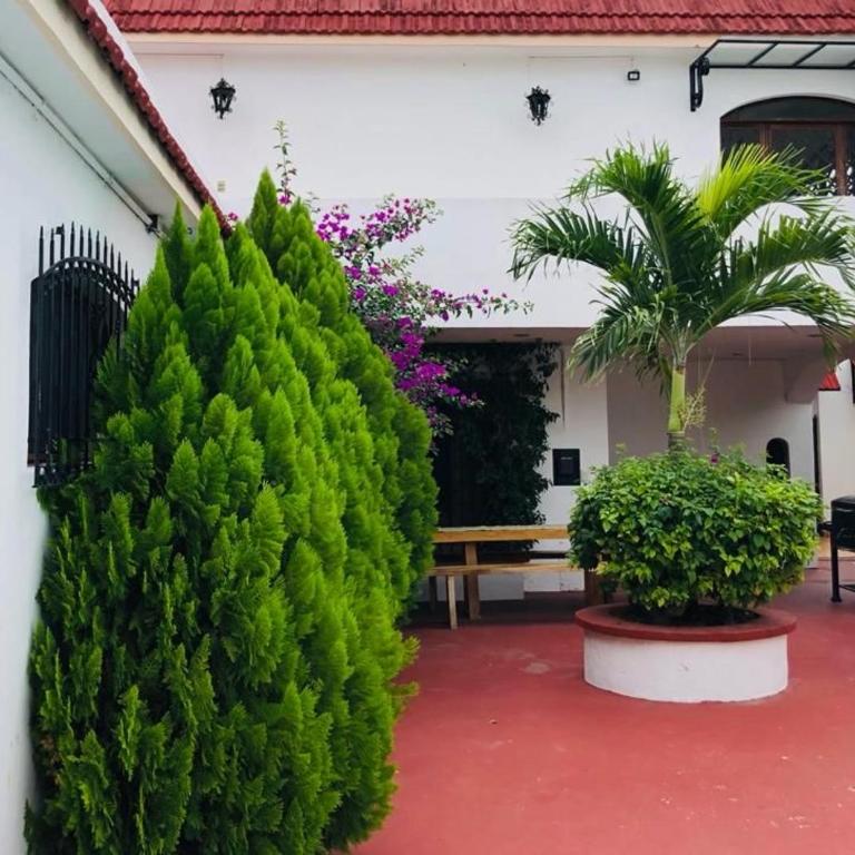 Villa Bugambilia Colonial Charm with Spacious Design and Private Pool Five Minutes from Downtown - Three-Bedroom Villa - 6