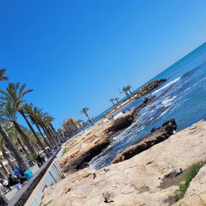 Belle Mar modern apartment centre of Torrevieja - Apartamento de 3 dormitorios - 23