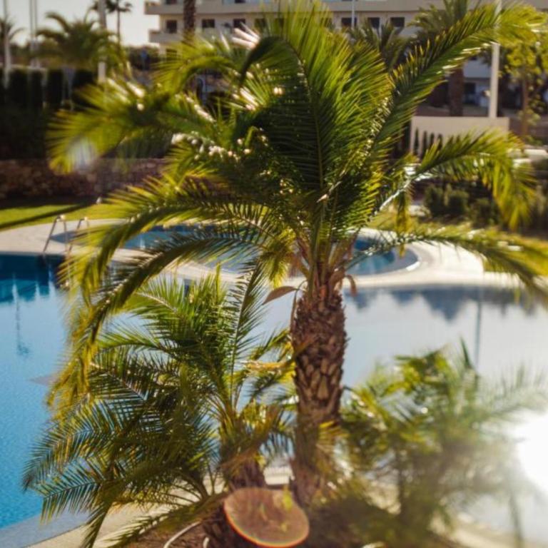 Apartment Arenales Playa del Sol - Two-Bedroom Apartment - 12