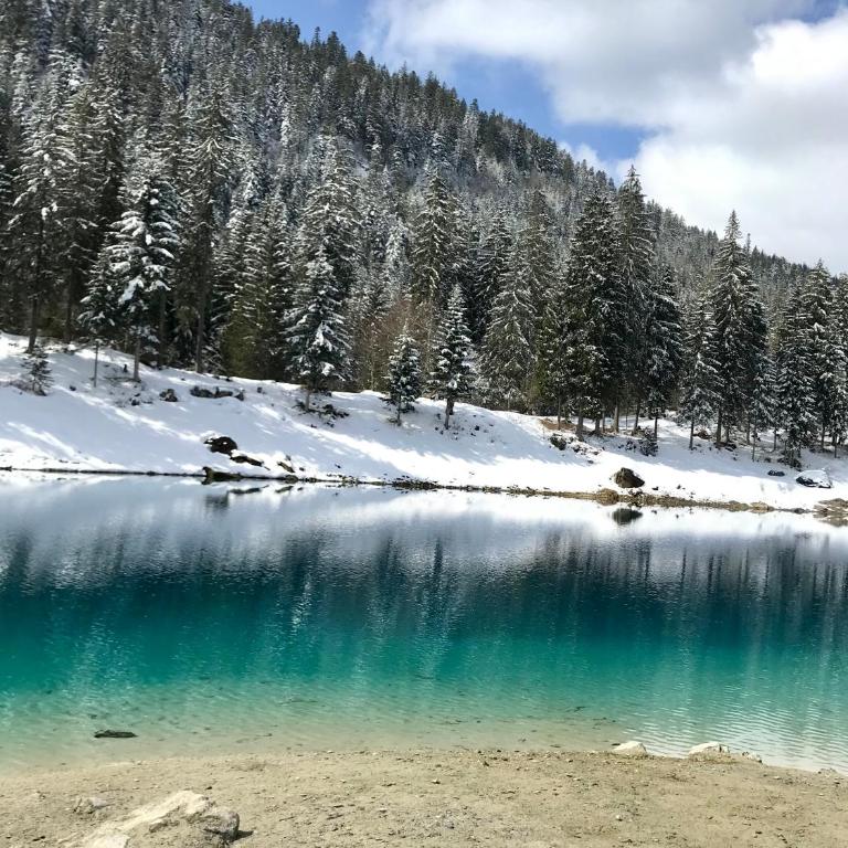 Ferienwohnung Stenna SELVA direkt bei Bergbahnen Skipiste - Apartment mit 2 Schlafzimmern - 59