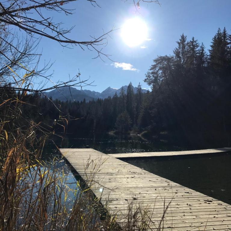 Ferienwohnung Stenna SELVA direkt bei Bergbahnen Skipiste - Apartment mit 2 Schlafzimmern - 60