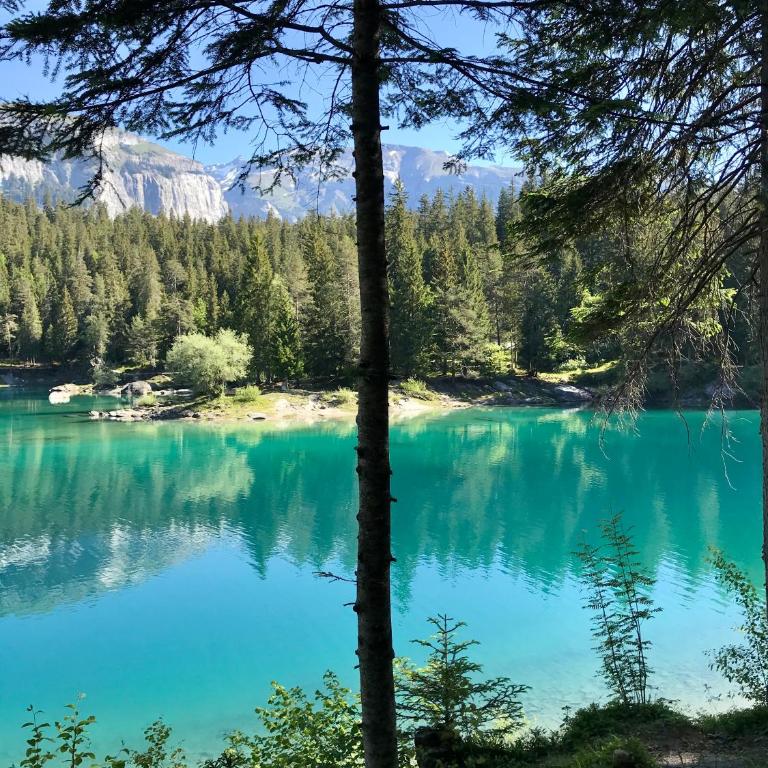 Ferienwohnung Stenna SELVA direkt bei Bergbahnen Skipiste - Apartment mit 2 Schlafzimmern - 58