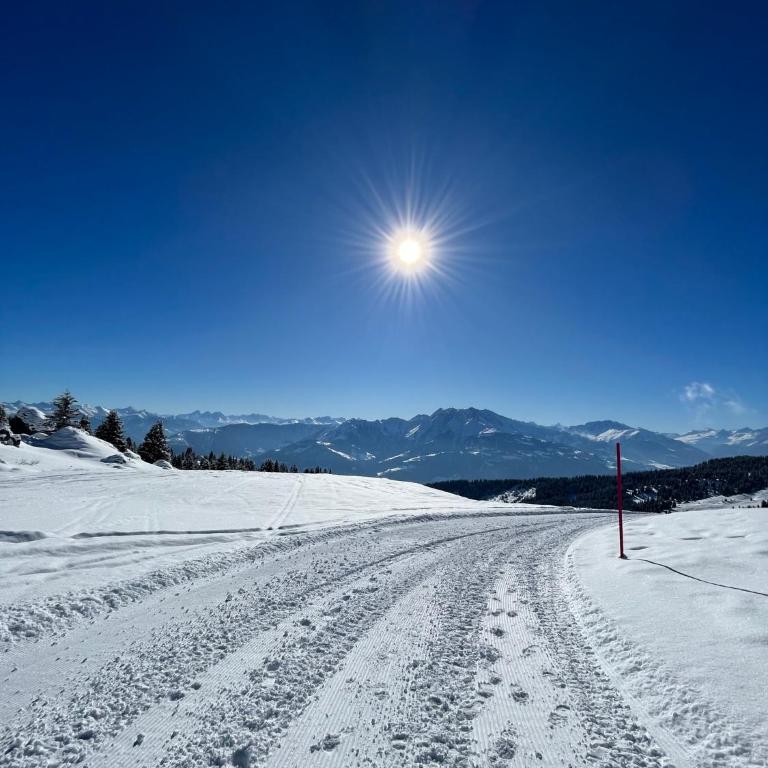 Ferienwohnung Stenna SELVA direkt bei Bergbahnen Skipiste - Apartment mit 2 Schlafzimmern - 69