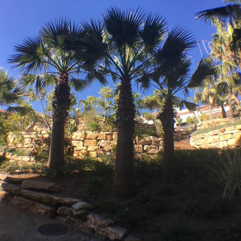 RESORT LUXUEUX/MARBELLA/ GOLF LOS FLAMINGOS - Apartamento de 2 dormitorios - 30