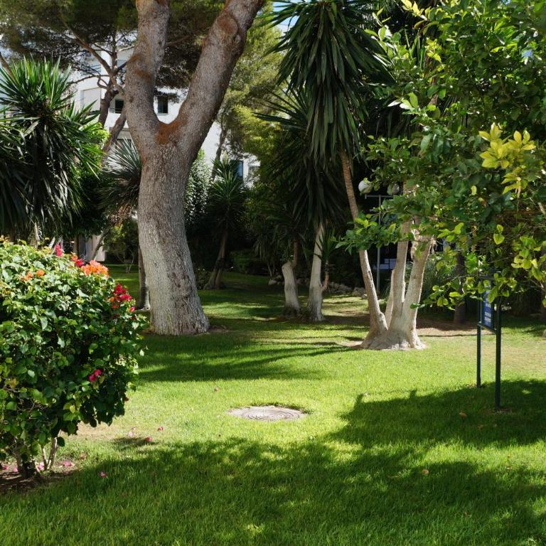 Piso muy moderno para 4 personas y una cuna a 7 min caminando a la playa, con aire, balcón con vistas y 2 piscinas - Apartamento de 2 dormitorios - 56