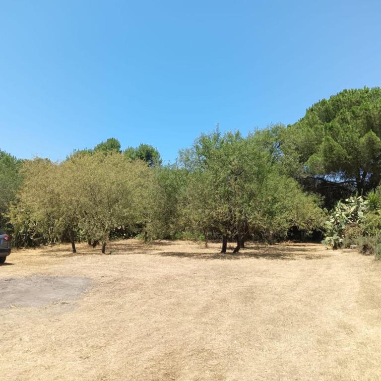 Appartamento Verdina - Casa con 3 Camere da Letto - 2