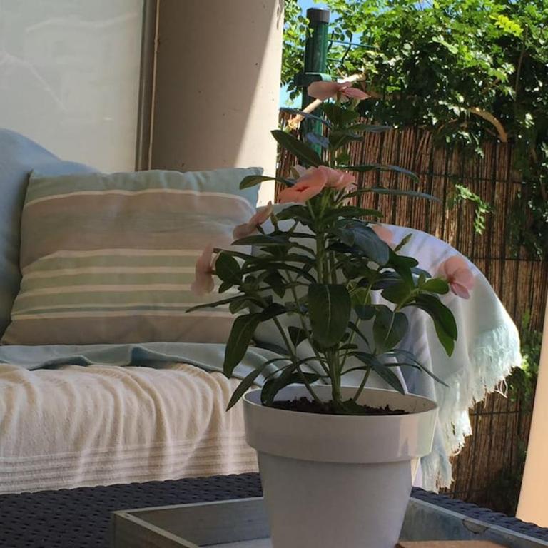 résidence avec piscine face à la mer, 1ère ligne - Apartamento de 2 dormitorios - 19